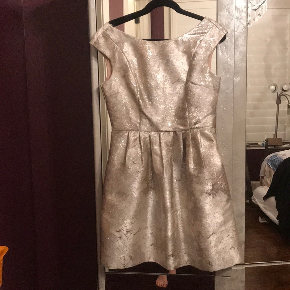 Adorable silver Anthropologie Dress w pockets!